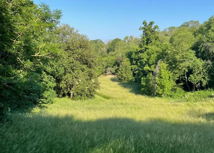 Otel Schloss Beichlingen